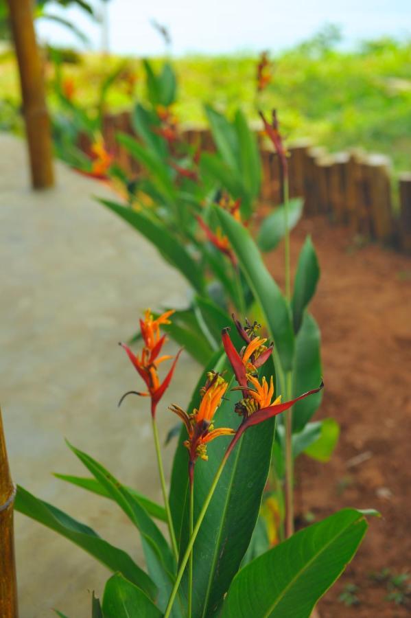 Pura Vida Varkala Hotell Exteriör bild